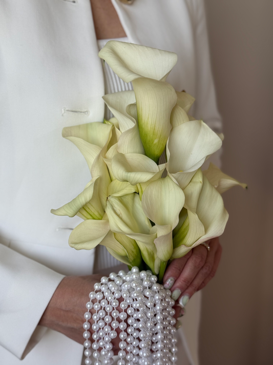 Delicate calla lilies image 1