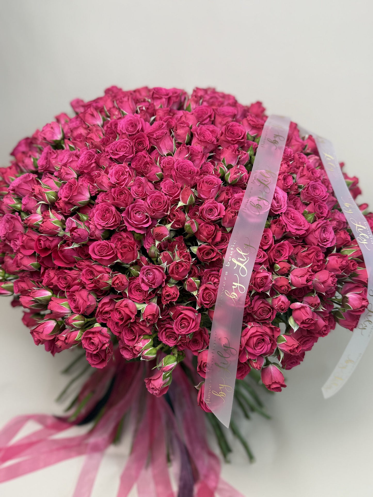 Spring happiness image 1