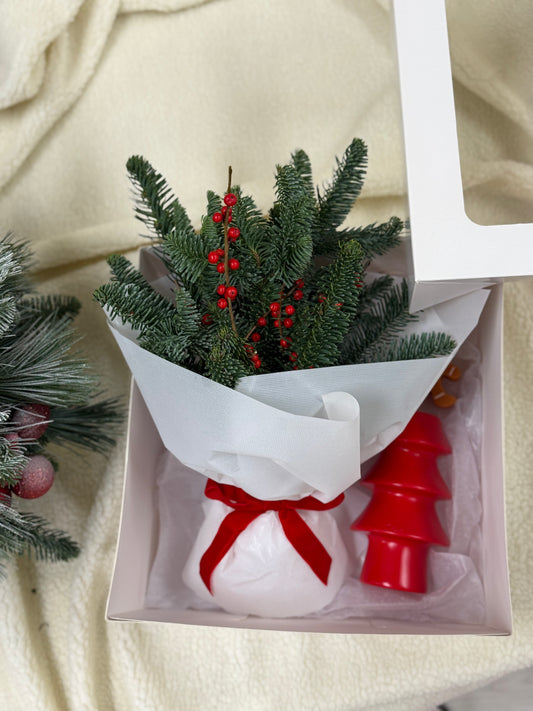Christmas Gift box