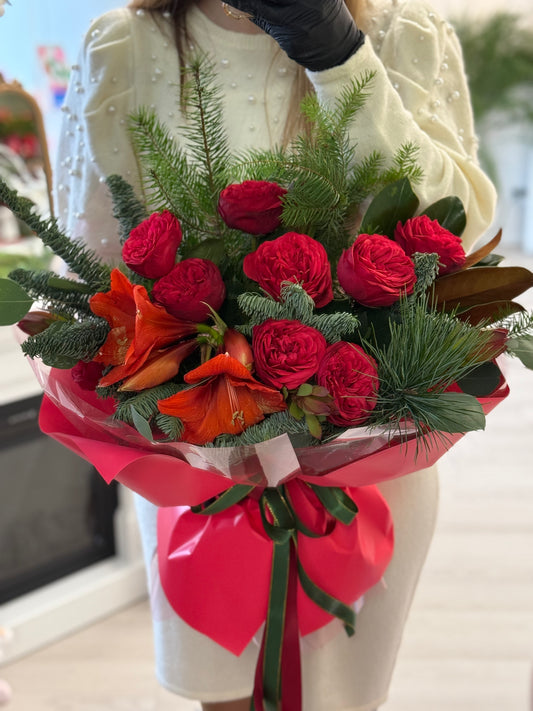 Christmas Amaryllis "Medium Size"