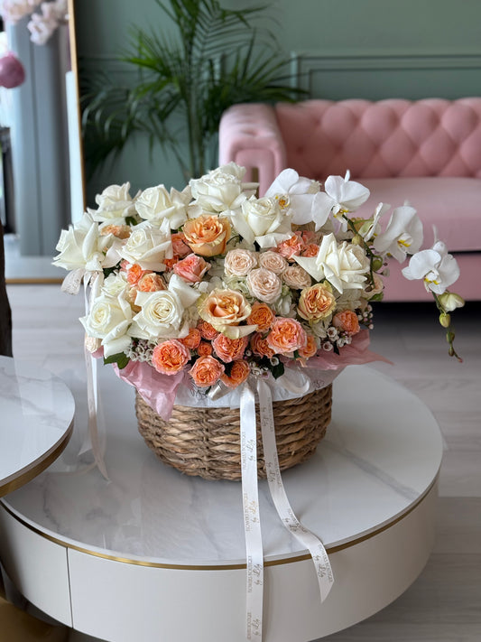 Color Melody "XLarge"