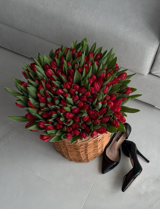 Velvet Tulip Collection