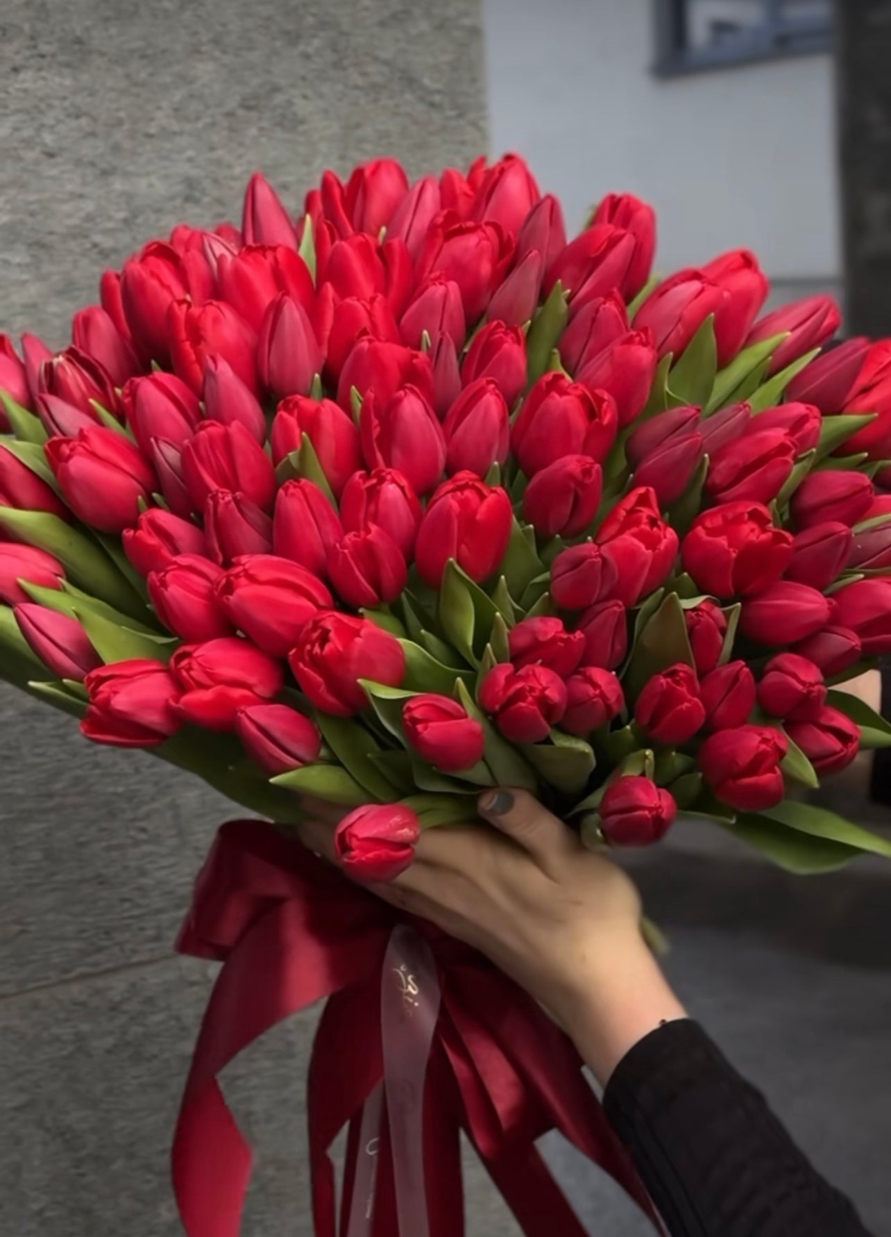 Red tulip