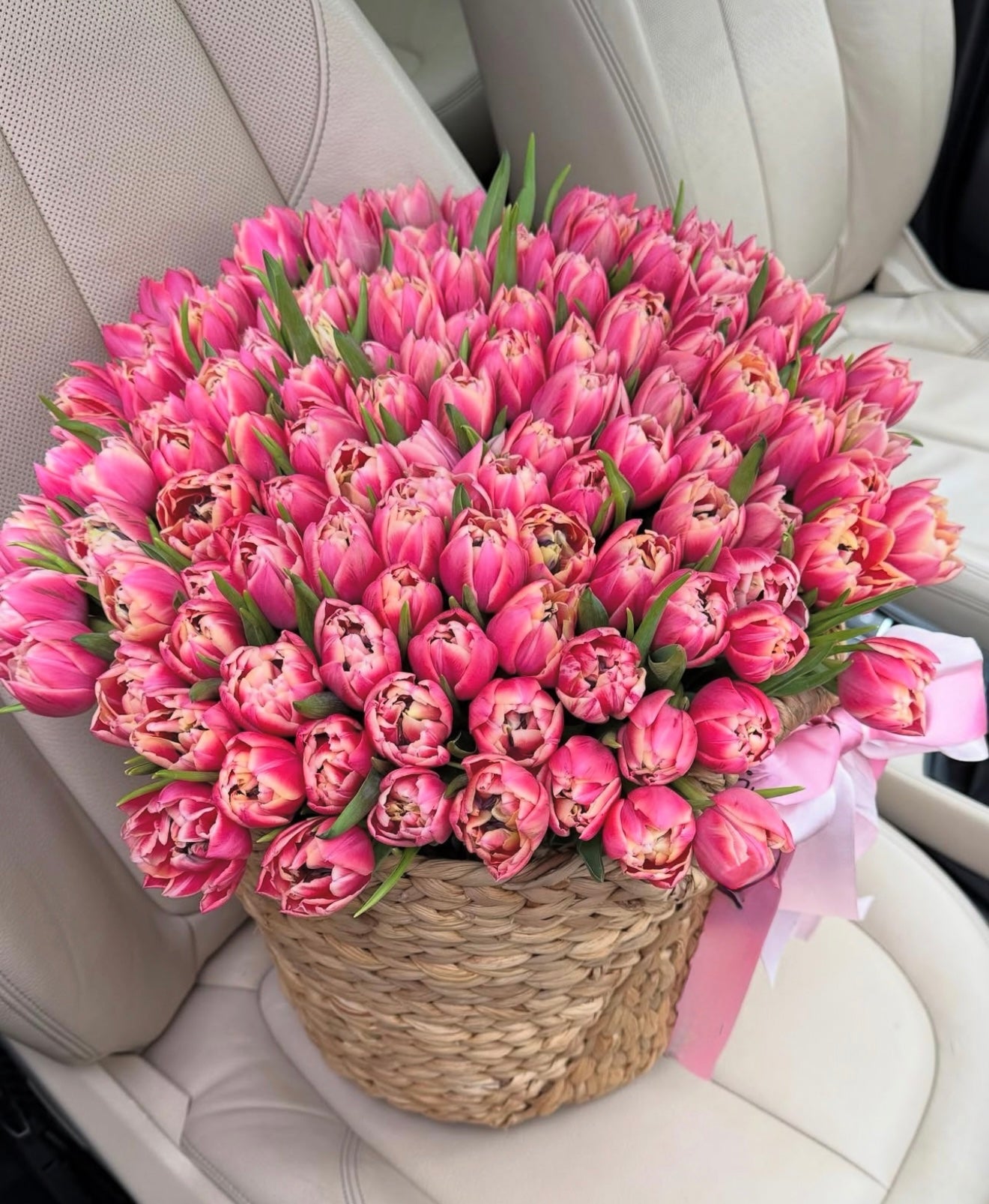 Tulip Reverie