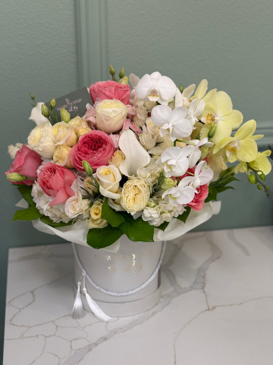 Glimmara "Large Size"