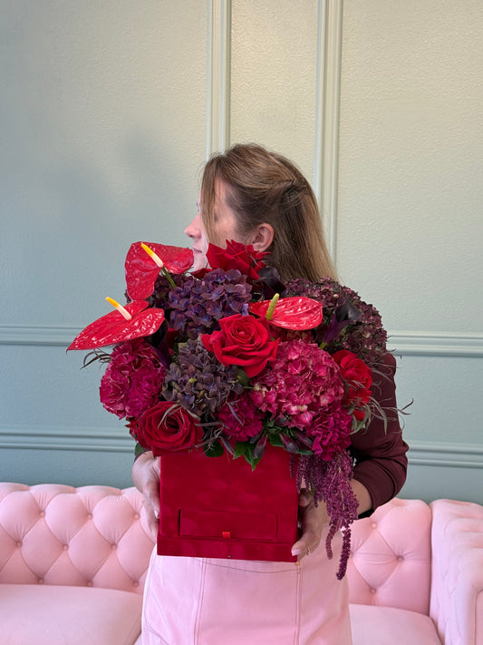 Velvoria "Medium Size"