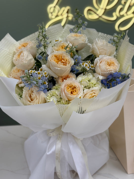 Stellune "Medium Size"