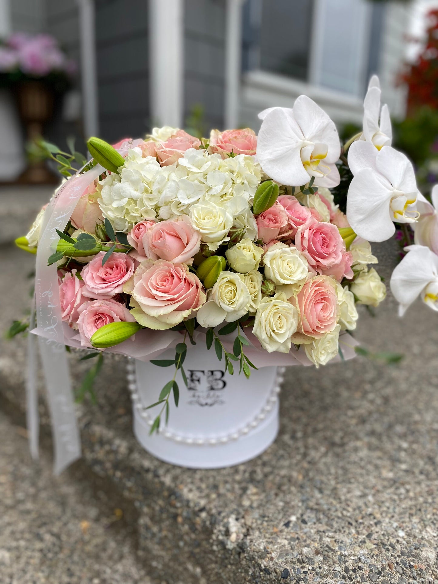 Orchid Passion image 0