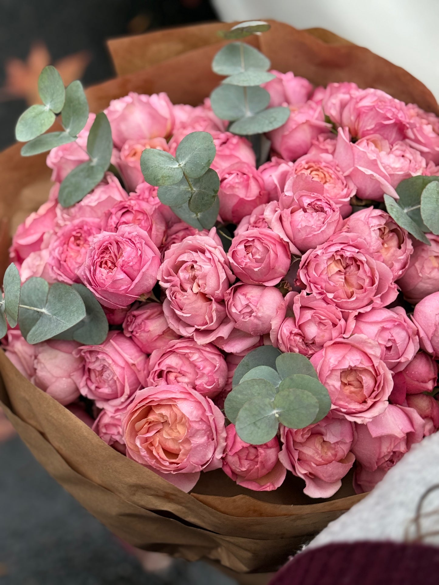 Spray roses Julieta