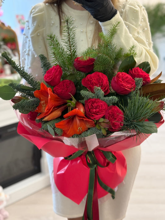 Christmas Amaryllis "Medium Size"