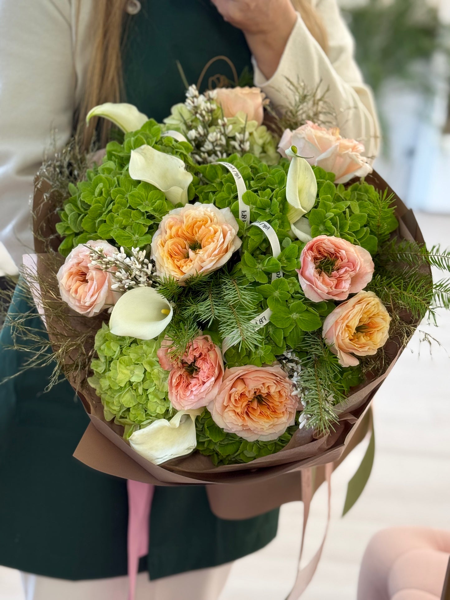 Garden Roses "Medium Size"