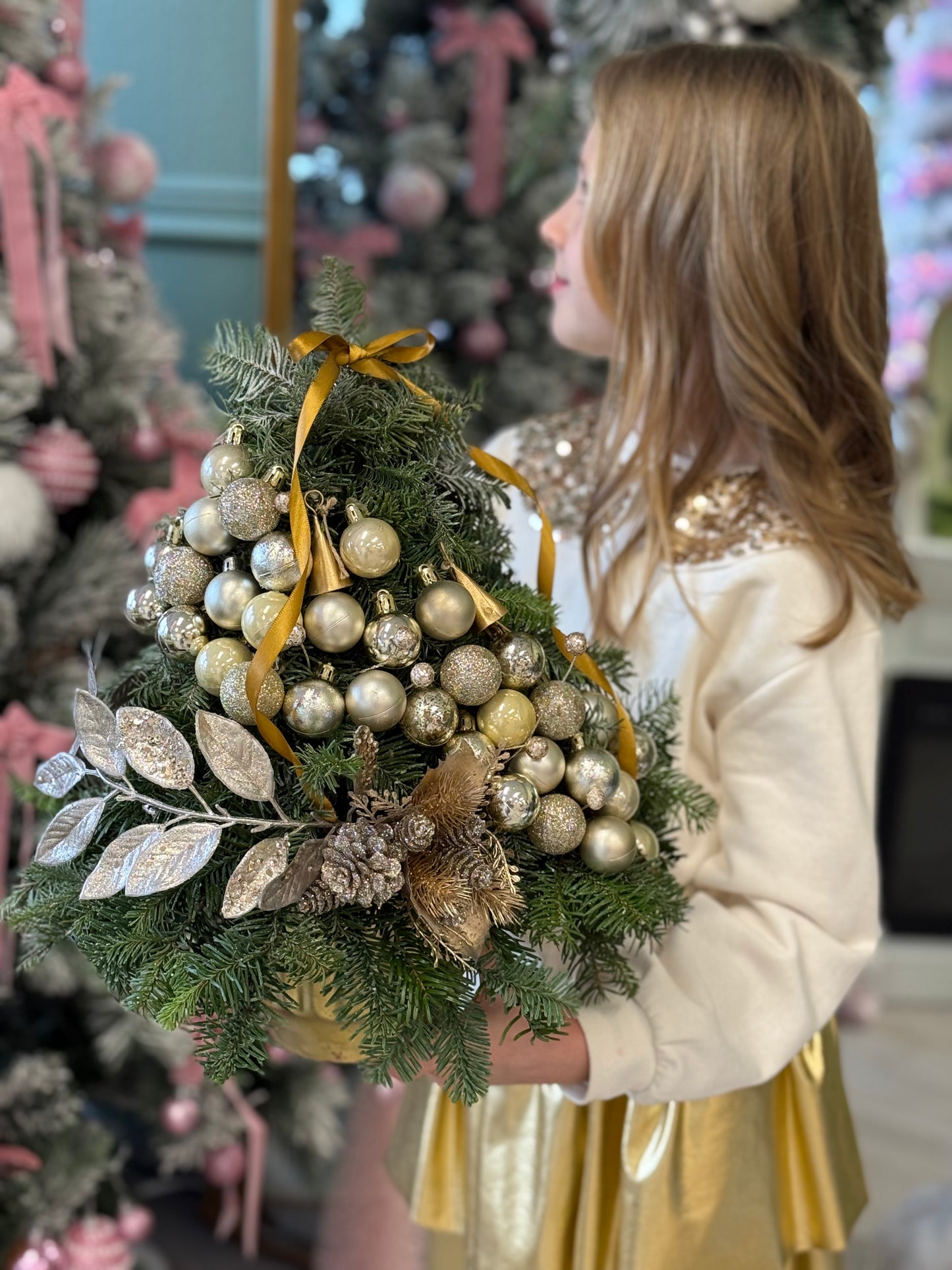 Royal Fir "Medium size"