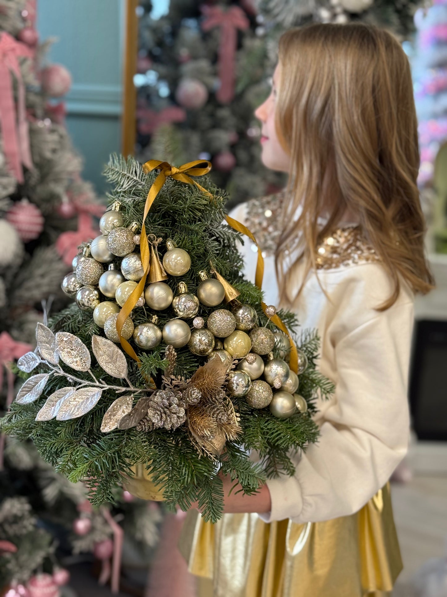 Royal Fir "Medium size"