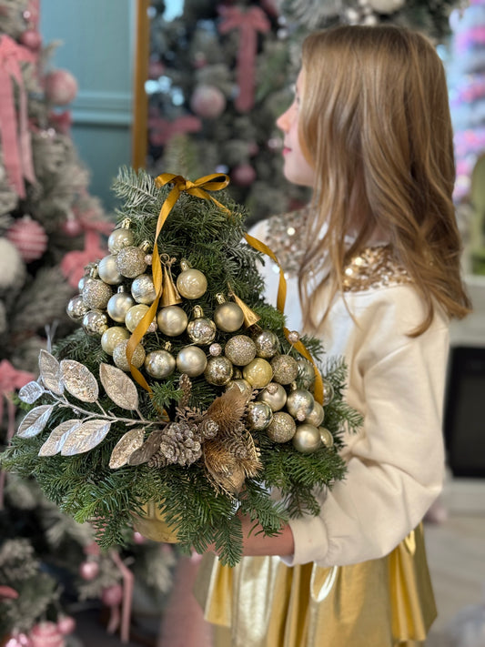 Royal Fir "Medium size"