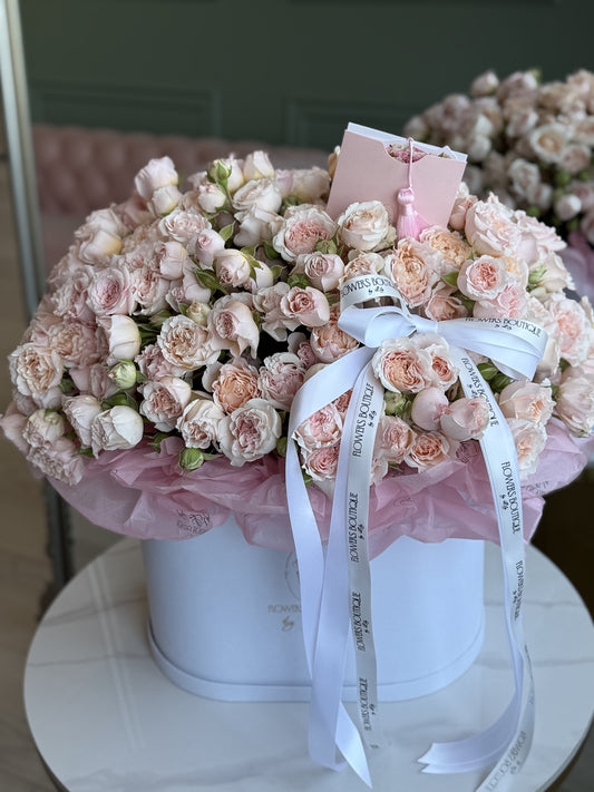 Blush Romance (large size)