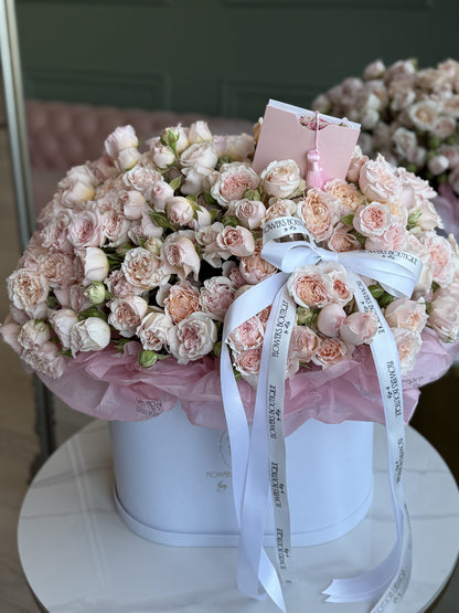 Blush Romance (large size)