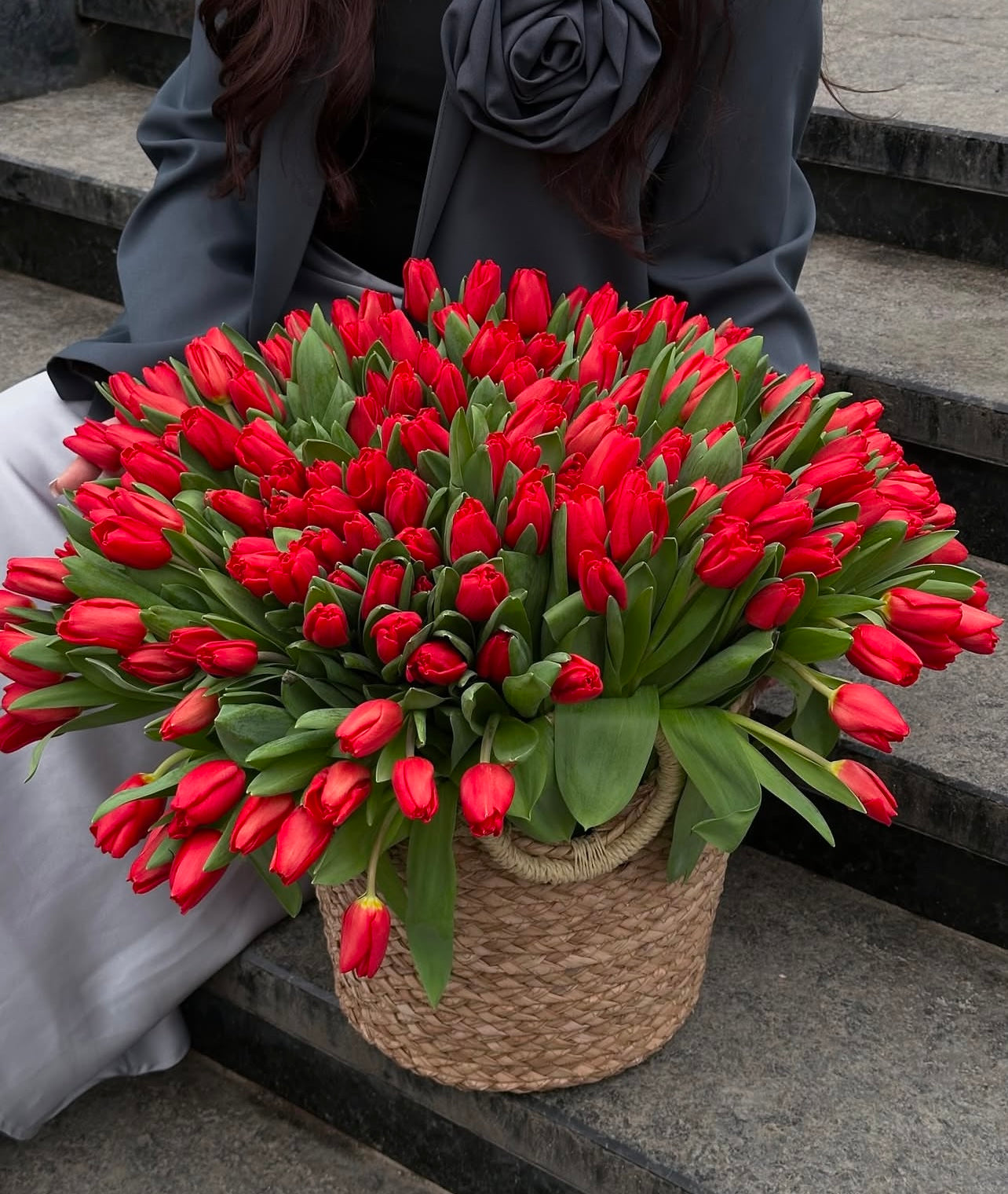 Velvet Tulip Collection