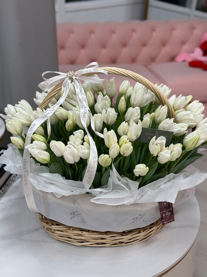 Hello Spring Tulips