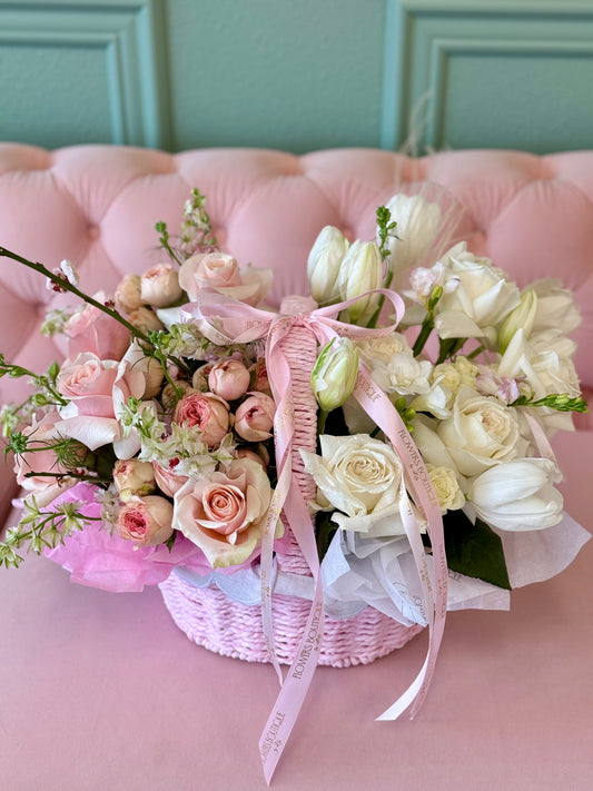 Spring Chord "Medium Size"