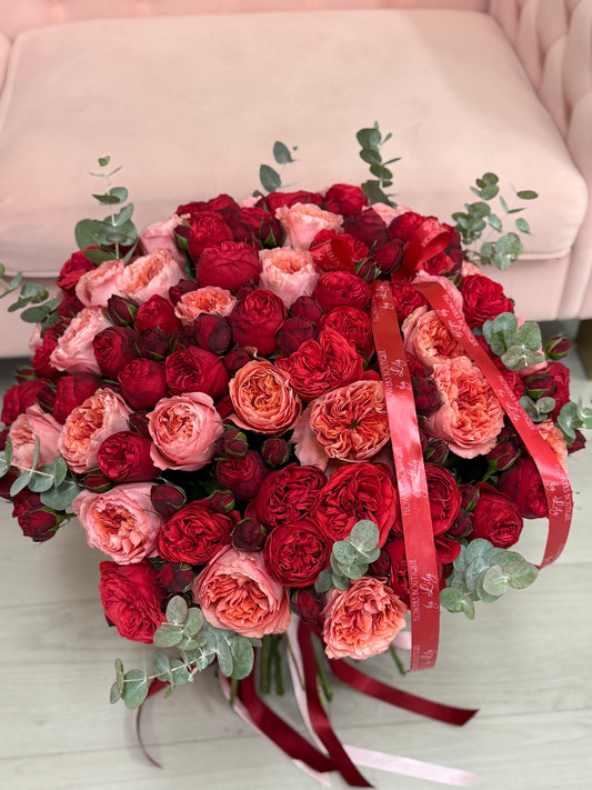 Garden Red piano roses & garden candy expression roses "XLarge Size"