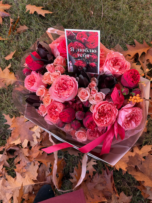Garden red piano roses, pink expression garden roses "Medium Size"