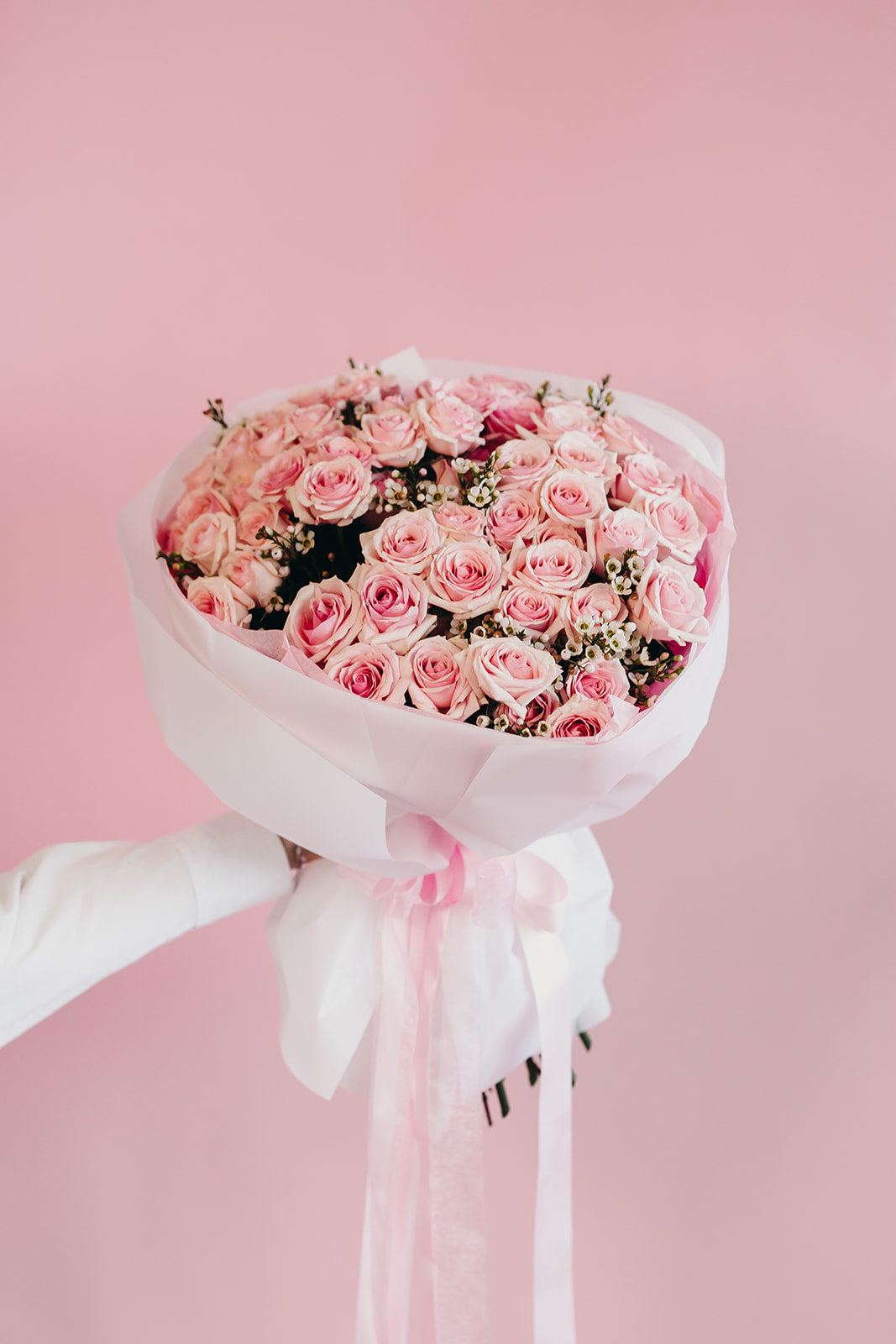 Love Edition»