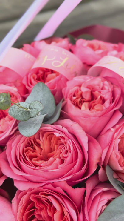Garden Roses "Pink Expression"
